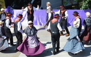 Foire des Violettes