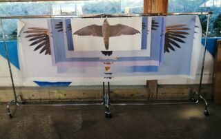 Atelier exposition commentée « les oiseaux planeurs»_Saint-Andéol-de-Fourchades