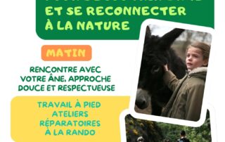 Groundwork, ethology, equifeel with donkeys – Le Mas des ânes