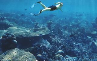 Neptune Evolution : une odyssée sous-marine méditerranéenne accessible pour tous à  La Londe-les-Maures © Ville de La Londe les Maures