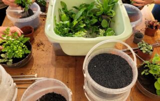 Atelier « Crée ton terrarium »_Châtel-Montagne © L'Odyssée Végétale