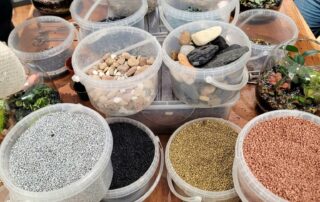 Atelier « Crée ton terrarium »_Châtel-Montagne © L'Odyssée Végétale