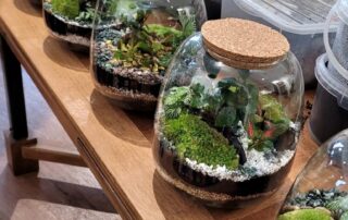 Atelier « Crée ton terrarium »_Châtel-Montagne © L'Odyssée Végétale