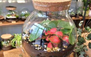 Atelier « Crée ton terrarium »_Châtel-Montagne © L'Odyssée Végétale