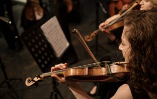 Concert musique classique_Lanarce © cottonbro studio