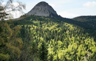 Sortie nature © F. Gramayze
