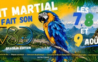 V.S.D – Edition Brésil
