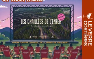 Cinéma en plen air_Nîmes