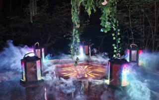 NEMETONA © La forêt des Arboris
