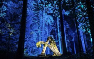NEMETONA © La forêt des Arboris