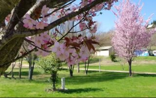 Camping Municipal du Lac de Saint-Martial_Saint-Martial © Mairie