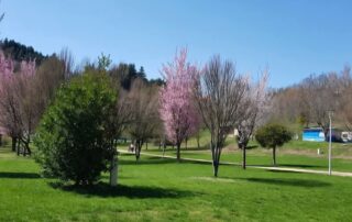 Camping Municipal du Lac de Saint-Martial_Saint-Martial © Mairie