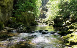 la_bourne_capture_pour_site_.png © Vercors TV