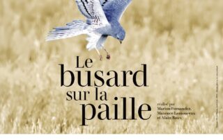 Projection « Le busard sur la paille »_Sainte-Eulalie © LPO