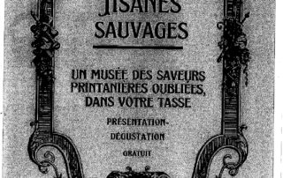 Tisanes sauvages