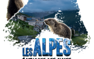 Ciné/Conférence « Les Alpes, ambiance des cimes »_Palavas-les-Flots © Altair