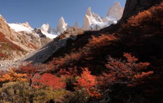 Cinéma – Contemplations, la poésie du sauvage_Pralognan-la-Vanoise