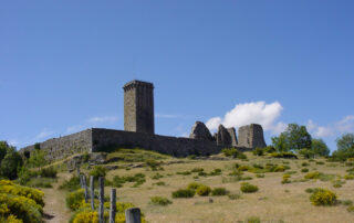 Visite patrimoniale