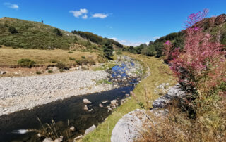 Les sources de la Loire_Sainte-Eulalie © OTMA_F.B-Gramayze