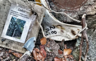 Escape Game Nature – Kimic Events