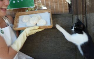 Séjour immersif à la ferme : Traite des chèvres et fabrication de fromage_Issanlas © Cab'riou