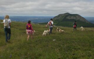 La Meute d’Angakoq: Cani-hike and cani-scooter