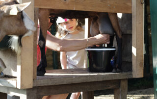 visite de ferme © Les Estables