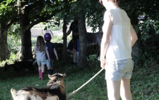 visite de ferme © Les Estables