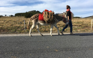 visite de ferme © bonnefoy