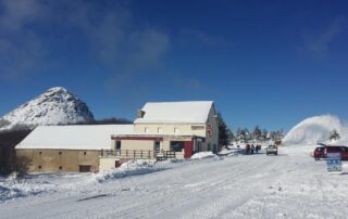 chez Régine