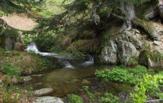 La source de l'Ardèche