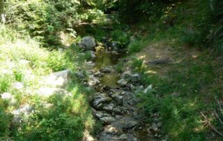 La source de l'Ardèche