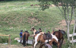 Gîte  d'étape et de séjour Ferme de Médille