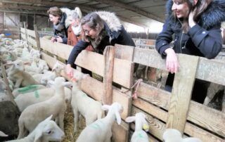 Visite à la ferme