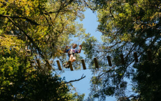 Grimper dans les arbres au Parcours Aventure de l&rsquo;Écureuil