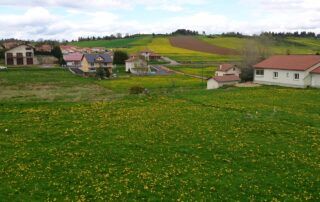 Location M. Bianchini Marc