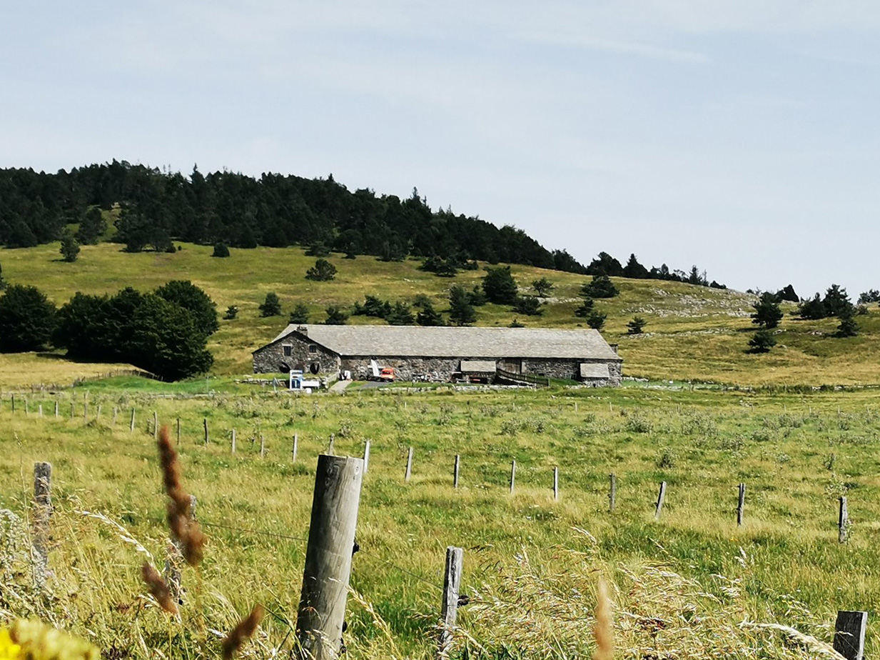 Bourlatier outside_field_August 2021_©OTMA(FG)_rec © OTMA_F.B-Gramayze