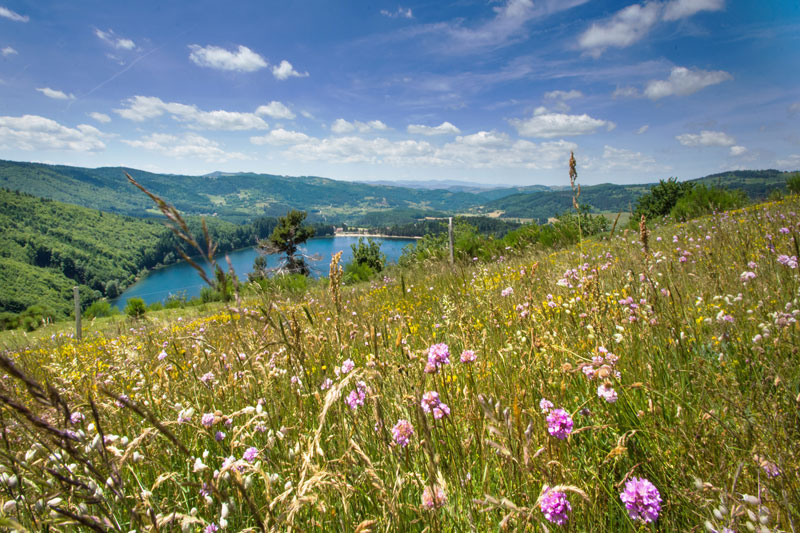 Lac-d'Issarlès