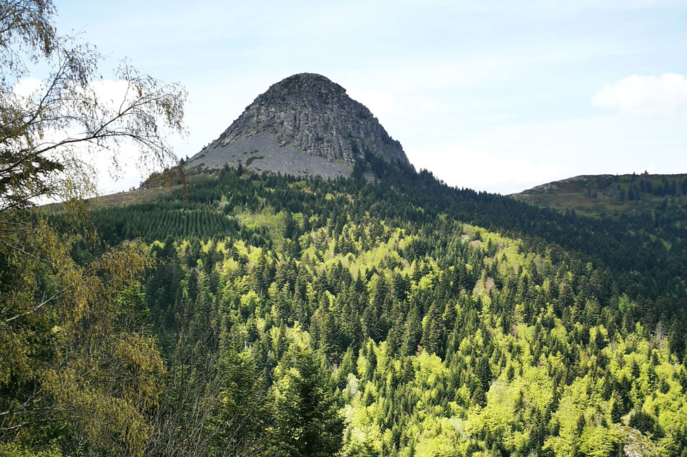 Mont Gerbier de Jonc