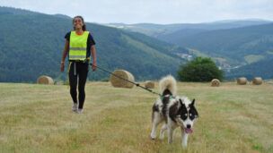 Montagne d’Ardèche – Cani-Rando